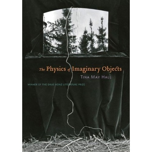 Cover art for The Physics of Imaginary Objects by Tina May Hall